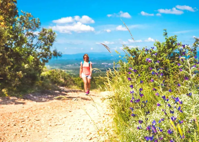 Le Servière Hébergement de vacances *